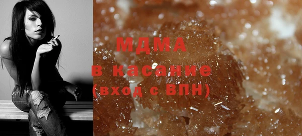 индика Каменка