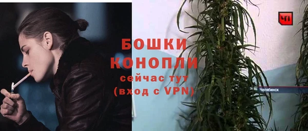 прущая мука Иннополис