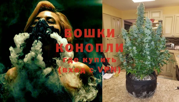 прущая мука Иннополис