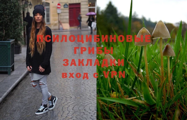 прущая мука Иннополис