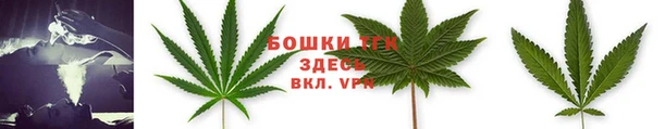 прущая мука Иннополис