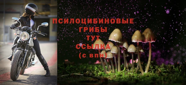 прущая мука Иннополис