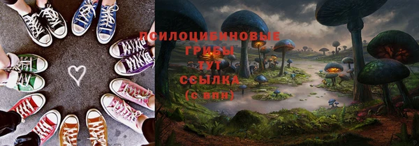 прущая мука Иннополис